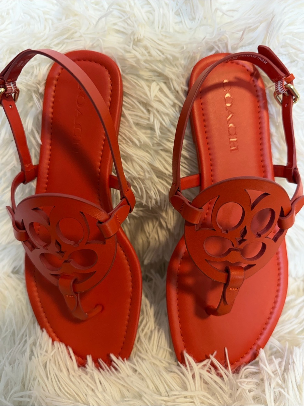Make a vibrant statement with these gorgeous COACH "Jaci" T-Strap Sandals! - Picture 9 of 10